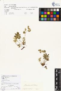 SW_BNB_s3070-00184_IMG-0000000001