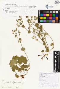 SW_BNB_s3070-00185_IMG-0000000001