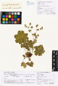 SW_BNB_s3070-00186_IMG-0000000001
