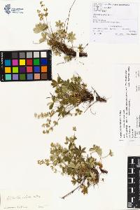 SW_BNB_s3070-00187_IMG-0000000001