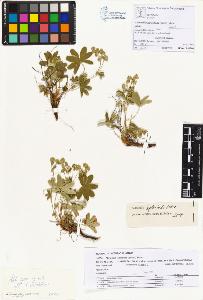 SW_BNB_s3070-00188_IMG-0000000001