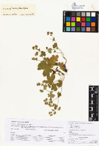 SW_BNB_s3070-00189_IMG-0000000001