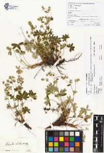 SW_BNB_s3070-00190_IMG-0000000001