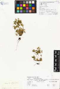 SW_BNB_s3070-00192_IMG-0000000001