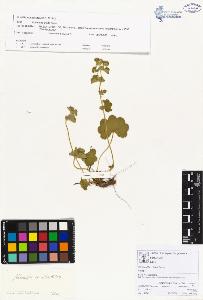 SW_BNB_s3070-00193_IMG-0000000001