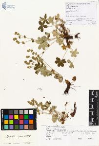 SW_BNB_s3070-00194_IMG-0000000001