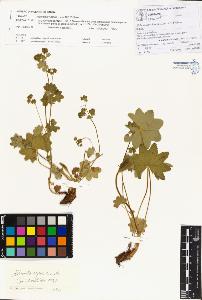 SW_BNB_s3070-00195_IMG-0000000001