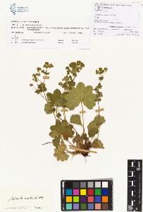 SW_BNB_s3070-00196_IMG-0000000001