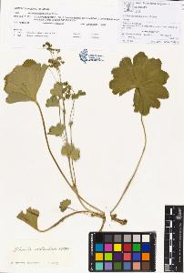 SW_BNB_s3070-00197_IMG-0000000001