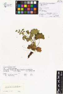 SW_BNB_s3070-00198_IMG-0000000001