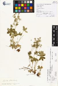 SW_BNB_s3070-00199_IMG-0000000001
