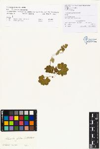 SW_BNB_s3070-00201_IMG-0000000001