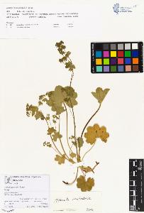SW_BNB_s3070-00202_IMG-0000000001