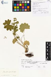 SW_BNB_s3070-00203_IMG-0000000001