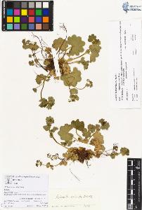 SW_BNB_s3070-00204_IMG-0000000001