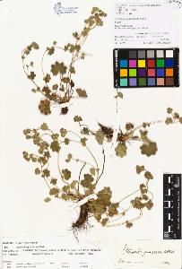 SW_BNB_s3070-00205_IMG-0000000001