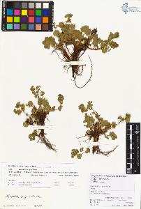 SW_BNB_s3070-00206_IMG-0000000001