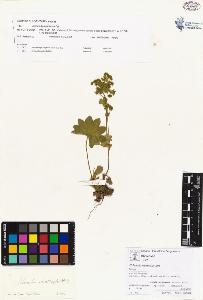 SW_BNB_s3070-00207_IMG-0000000001