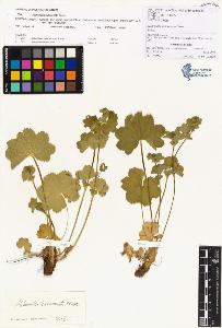 SW_BNB_s3070-00210_IMG-0000000001