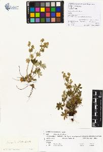 SW_BNB_s3070-00211_IMG-0000000001