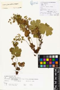 SW_BNB_s3070-00212_IMG-0000000001