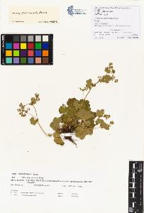 SW_BNB_s3070-00214_IMG-0000000001