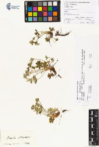 SW_BNB_s3070-00216_IMG-0000000001
