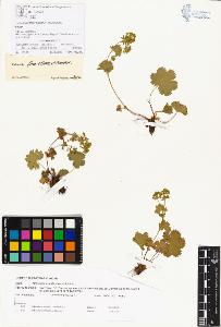 SW_BNB_s3070-00218_IMG-0000000001