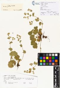 SW_BNB_s3070-00219_IMG-0000000001