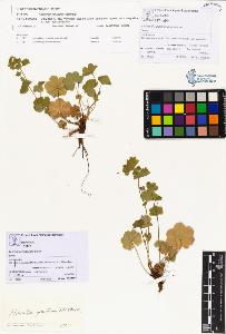 SW_BNB_s3070-00220_IMG-0000000001