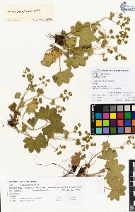 SW_BNB_s3070-00222_IMG-0000000001