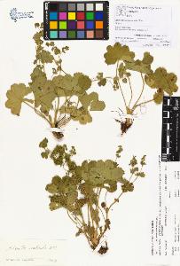 SW_BNB_s3070-00224_IMG-0000000001