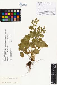 SW_BNB_s3070-00226_IMG-0000000001