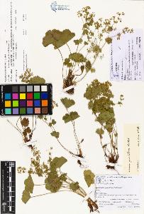 SW_BNB_s3070-00228_IMG-0000000001