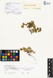 SW_BNB_s3070-00229_IMG-0000000001