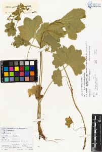 SW_BNB_s3070-00230_IMG-0000000001
