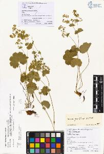 SW_BNB_s3070-00232_IMG-0000000001
