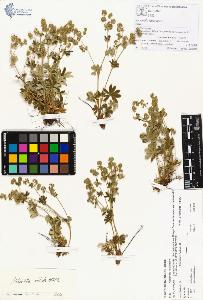 SW_BNB_s3070-00233_IMG-0000000001