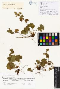 SW_BNB_s3070-00234_IMG-0000000001