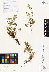 SW_BNB_s3070-00236_IMG-0000000001