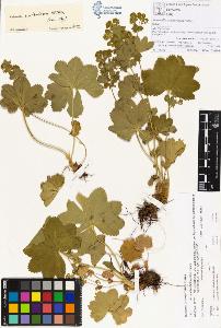 SW_BNB_s3070-00238_IMG-0000000001