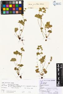 SW_BNB_s3070-00241_IMG-0000000001