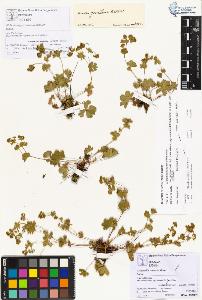 SW_BNB_s3070-00242_IMG-0000000001