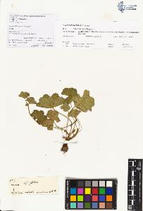 SW_BNB_s3070-00243_IMG-0000000001