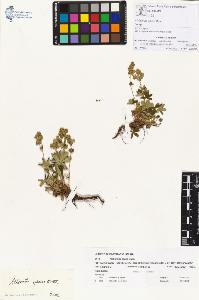 SW_BNB_s3070-00244_IMG-0000000001