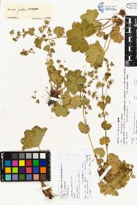 SW_BNB_s3070-00245_IMG-0000000001