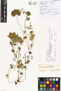 SW_BNB_s3070-00246_IMG-0000000001
