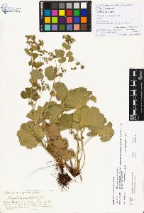 SW_BNB_s3070-00249_IMG-0000000001