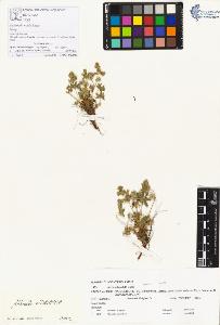 SW_BNB_s3070-00250_IMG-0000000001