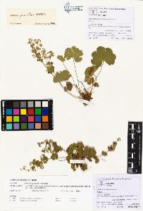 SW_BNB_s3070-00251_IMG-0000000001